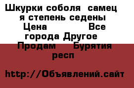 Шкурки соболя (самец) 1-я степень седены › Цена ­ 12 000 - Все города Другое » Продам   . Бурятия респ.